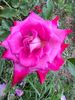 809401B8-6E83-4483-9B2F-122CB9855DB6