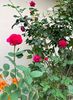 B7412B72-474C-4115-A924-2E7DD007DBB5