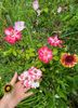 95062F9B-75D4-43E7-93A9-089FF161D45C