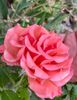 CE57658B-7FC0-450C-B64D-D7858CA70684