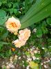IMG20230616131140