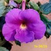 IMG-20230616