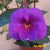 IMG-20230616