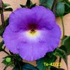 IMG-20230616