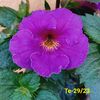 IMG-20230616