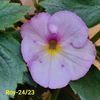 IMG-20230607