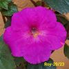 IMG-20230607