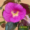 IMG-20230607