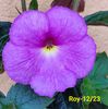 IMG-20230605