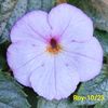 IMG-20230604