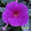 IMG-20230602