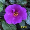 IMG-20230602