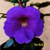 IMG-20230530
