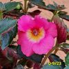 IMG-20230616
