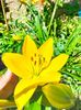 IMG20230620123527
