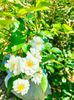 IMG20230621102016