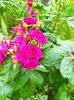 IMG20230616131050