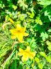 IMG20230620124250