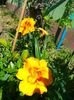 IMG20230621105635