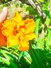 IMG20230619111555