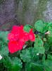 IMG20230615173616