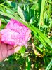 IMG20230621105301