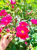 IMG20230620124111
