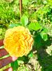 IMG20230621101943