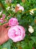 IMG20230616131203