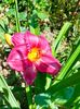 IMG20230620123957