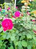 IMG20230614203130