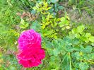 IMG20230623194408