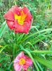 IMG20230623193747