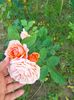 IMG20230623194433