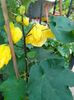 IMG20230623195414