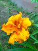IMG20230623195254