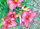 IMG20230623195233