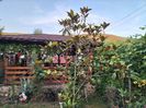 IMG20230623204855