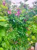 IMG20230625151225