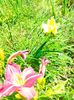 IMG20230627115750