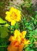 IMG20230626112553