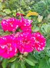 IMG20230625150824