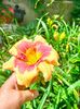 IMG20230626112500