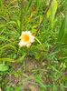 IMG20230625183439