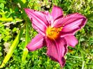 IMG20230627120147