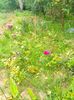 IMG20230625183520