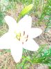 IMG20230625151019