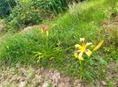 IMG20230625183655