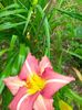 IMG20230625183226