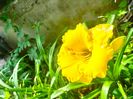 IMG20230626112533